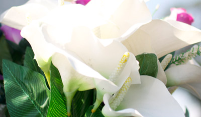 Anthony and Preston Memorials